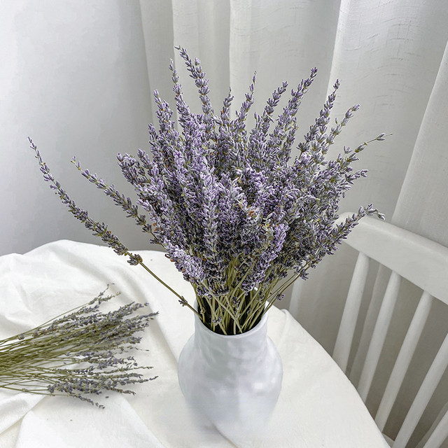 Dried Flowers Lavender Natural  Dried Lavender Flowers Near - 25pcs Dried  Flowers - Aliexpress